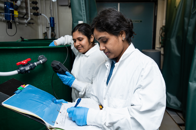 Graduate students working in the lab